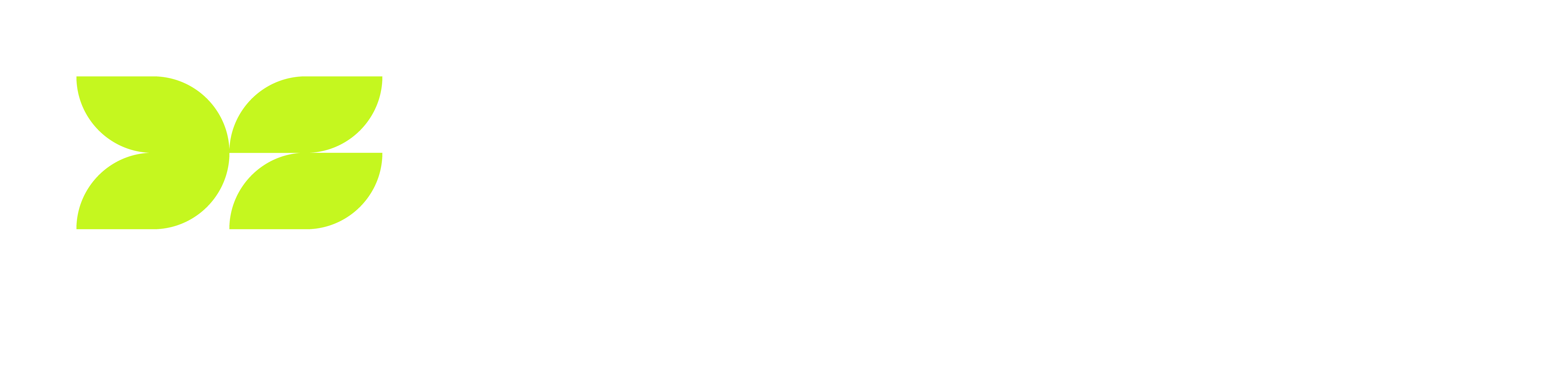 DataSpring-Logo-RGB-ColorWhite