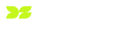 DataSpring-Logo-RGB-ColorWhite